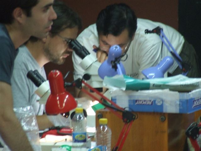 taxomara 2008 (77)